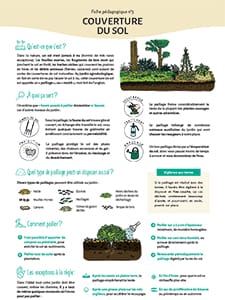 Pratiques essentielles du jardin agroécologique / Couverture du sol (Terre et Humanisme)