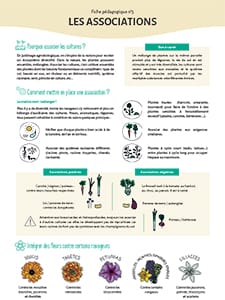 Les pratiques essentielles au jardin agroécologique / N°5 Les associations (Terre et Humanisme)