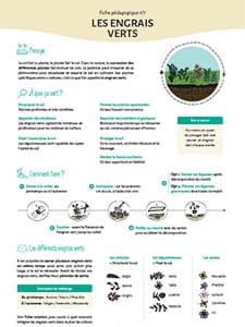 Les pratiques essentielles au jardin agroécologique / N°7 Les engrais verts (Terre et Humanisme)