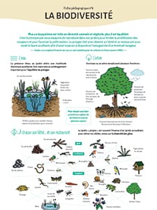 Les pratiques essentielles au jardin agroécologiue / N°8 La biodiversité (Terre et Humanisme)